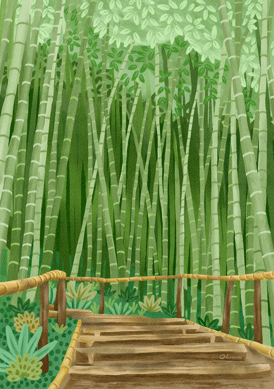 Bamboo forest, Japan