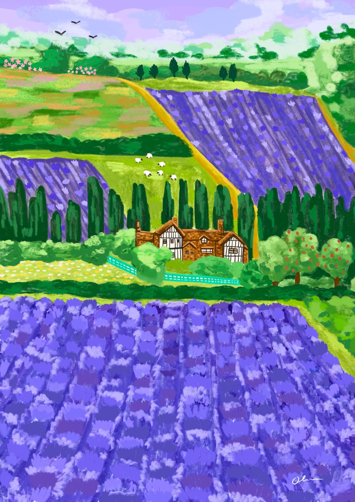 Castle Farm lavender fields