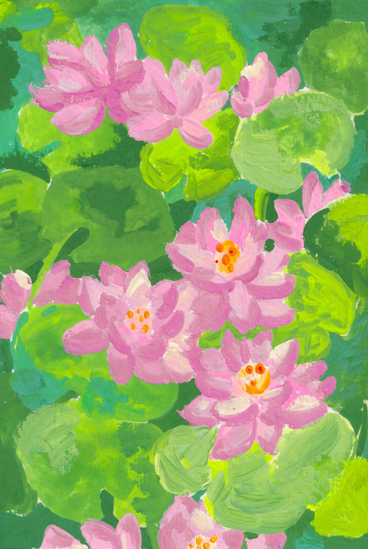 Lotus flowers